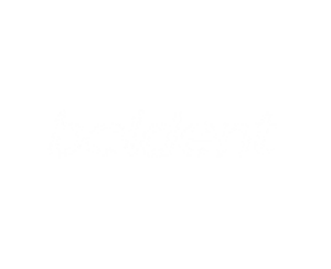 beldent logo